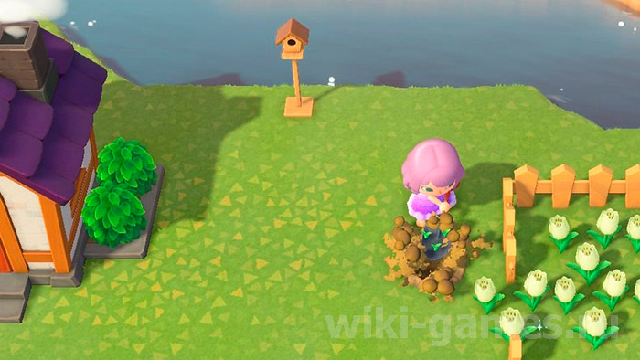 animal cross tsive 5