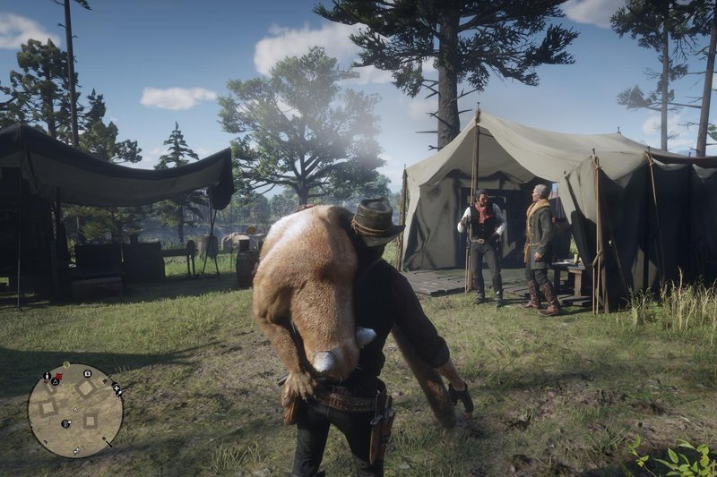 red dead 2 cougar hunt