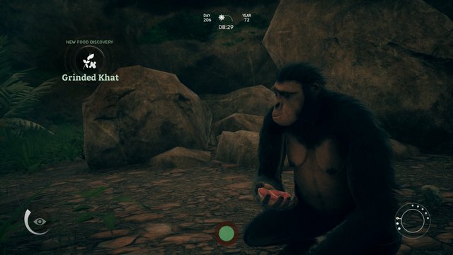 Ancestors Heal Broken Bones 4