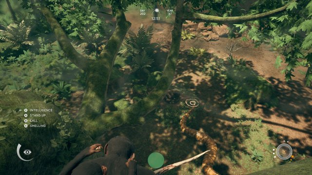 Ancestors The Humankind Odyssey Hearing