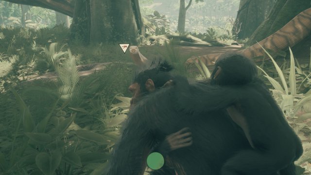 ancestors the humankind odyssey carrying babies 4