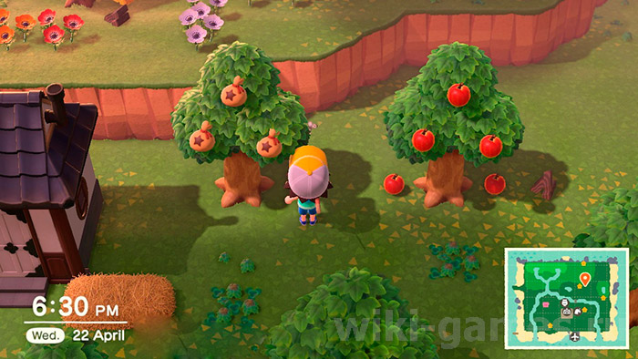 animal cross podarok 4