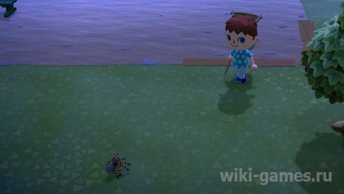 animal crossing tarantul 2