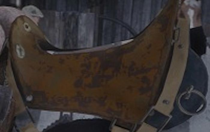 Red Dead Redemption 2 Saddle 2