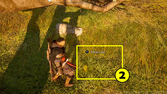 assassins creed valhalla list 4