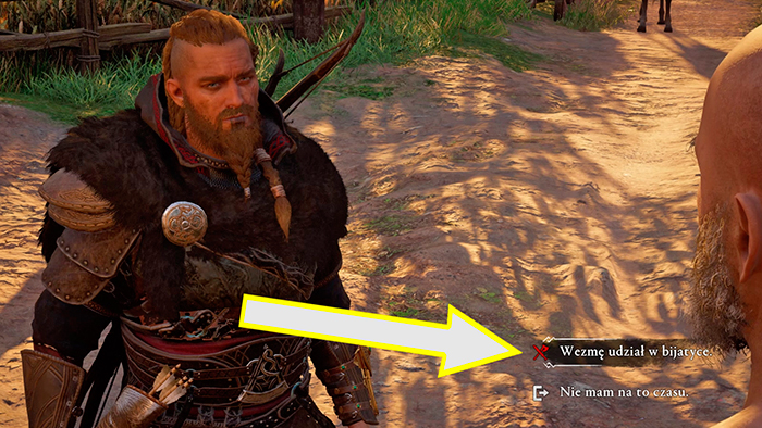 assassins creed valhalla tost ele 21