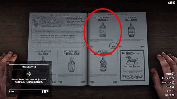 Red Dead Redemption 2 - погибла лошадь