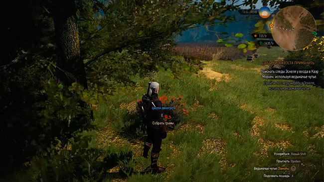 Ведьмак 3 Дикая охота собирательство трав Ведьмак 3 Дикая охота собирательство трав