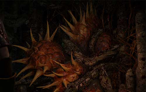 The witcher 3 дух в дереве The witcher 3 дух в дереве