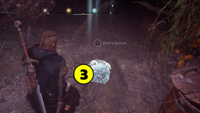 Событие. Тост за богатство. Эликсир, яйца медведя, лишайник в Assassin's Creed Valhalla.